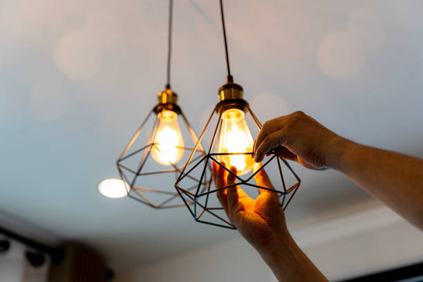 Best Electric Panel Repair  in Breaux Bridge, LA